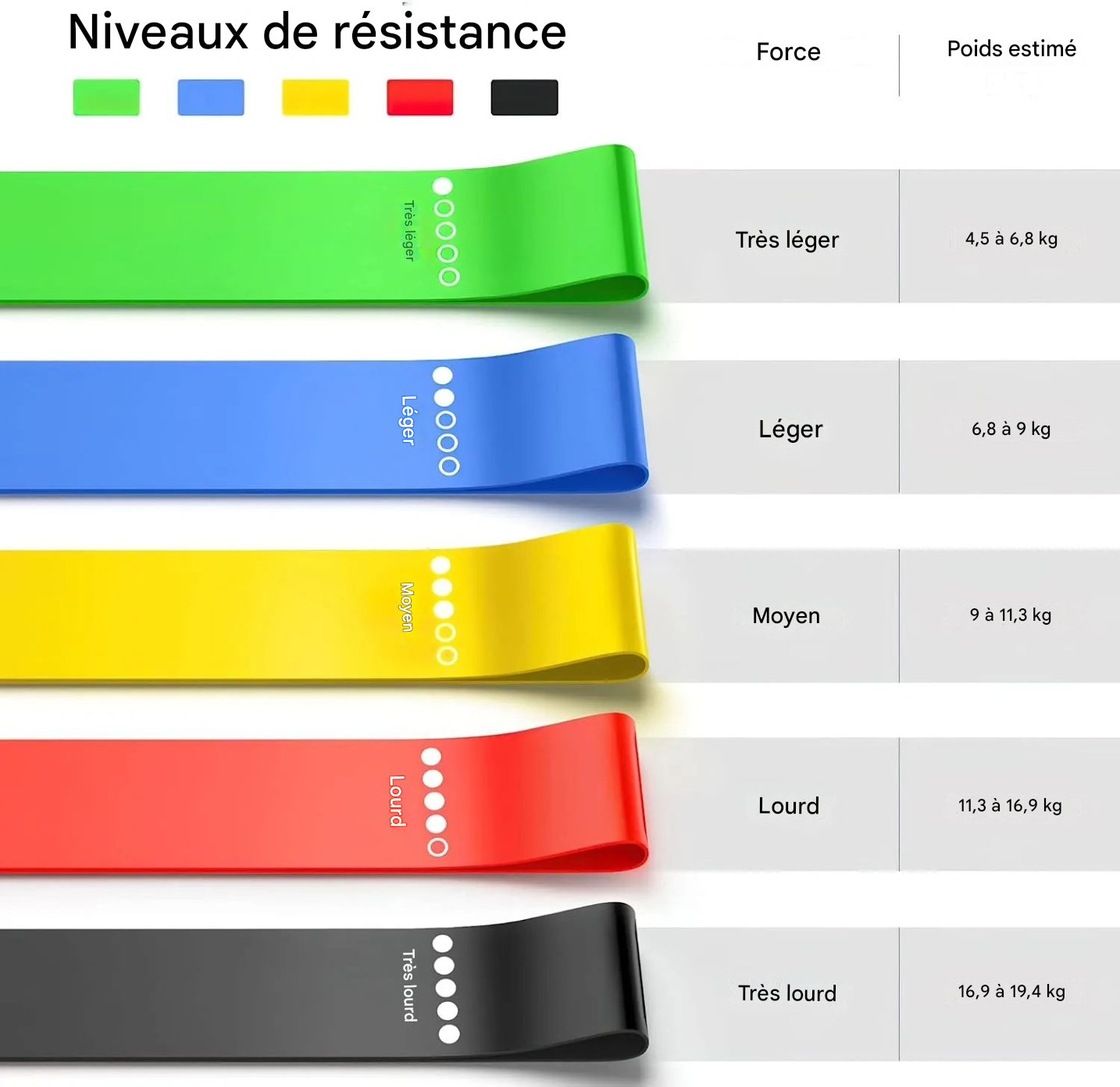 FitElastic - Bandes