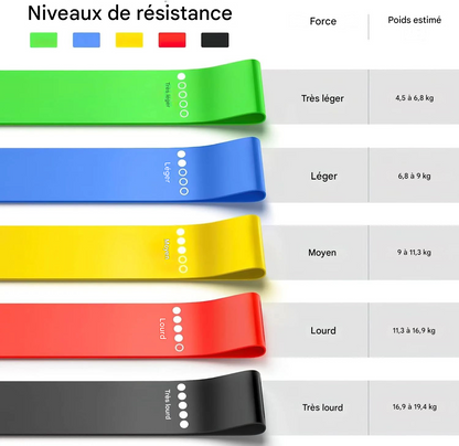 FitElastic - Bandes